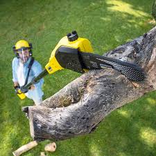 Trusted Billington Heights, NY Tree Removal and Landscaping Services Experts